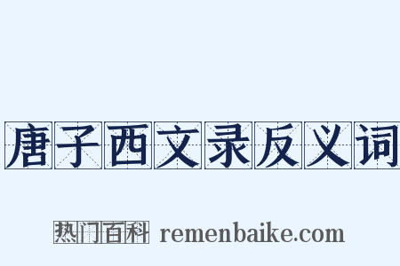 唐子西文录反义词是什么意思的图片